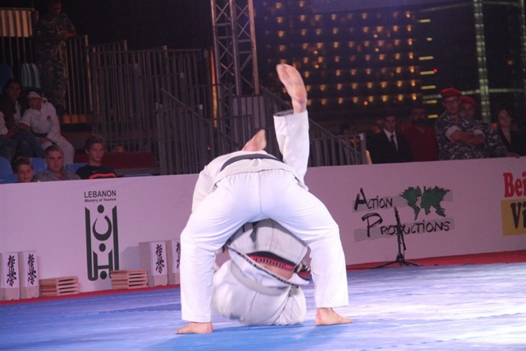 Martial Arts Festival